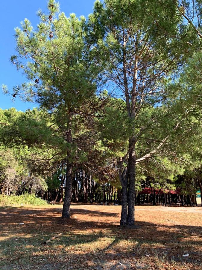 Mini Hotel Amra Πιτσούντα Εξωτερικό φωτογραφία